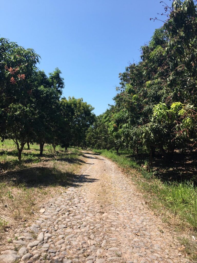 PARCELA VISTA DEL LAGO – photo 5