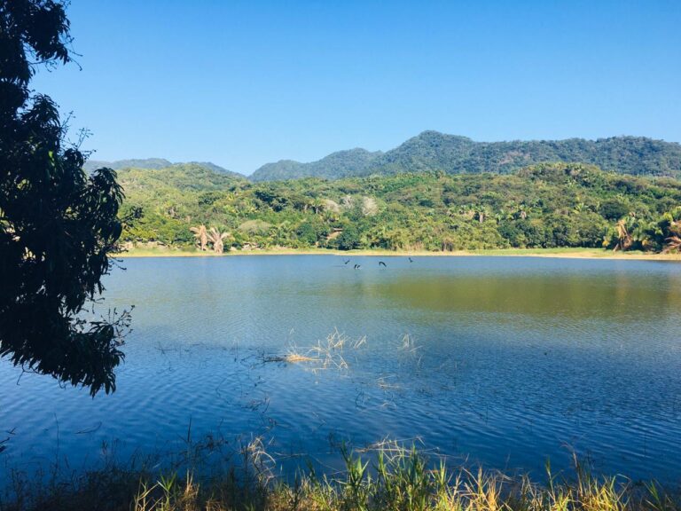 PARCELA VISTA DEL LAGO – photo 2