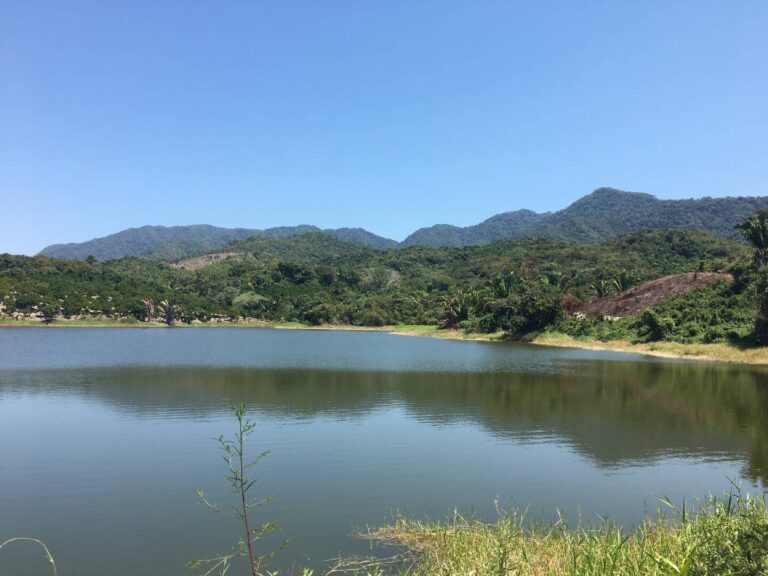 PARCELA VISTA DEL LAGO – photo 4