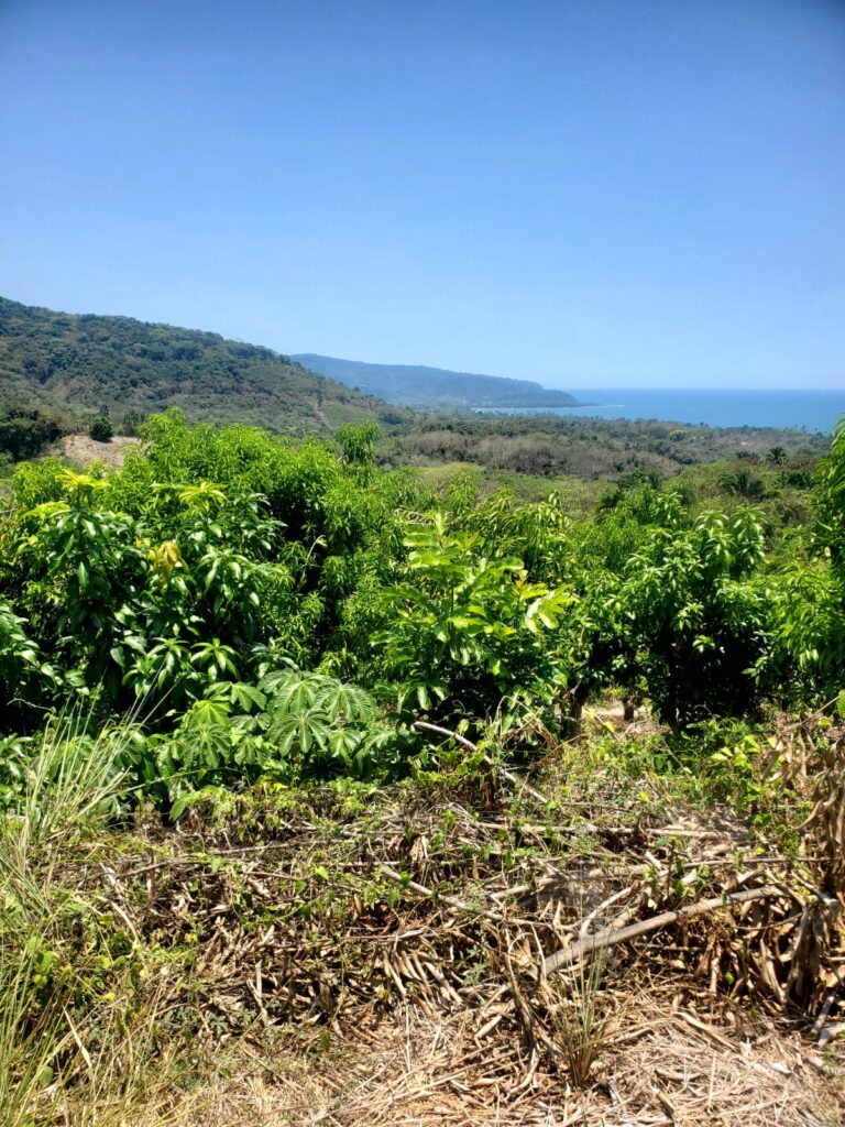 PARECELA ARROYO ATICAMA – photo 4