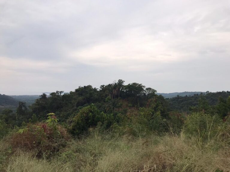 PARCELA EL TEJON – photo 3
