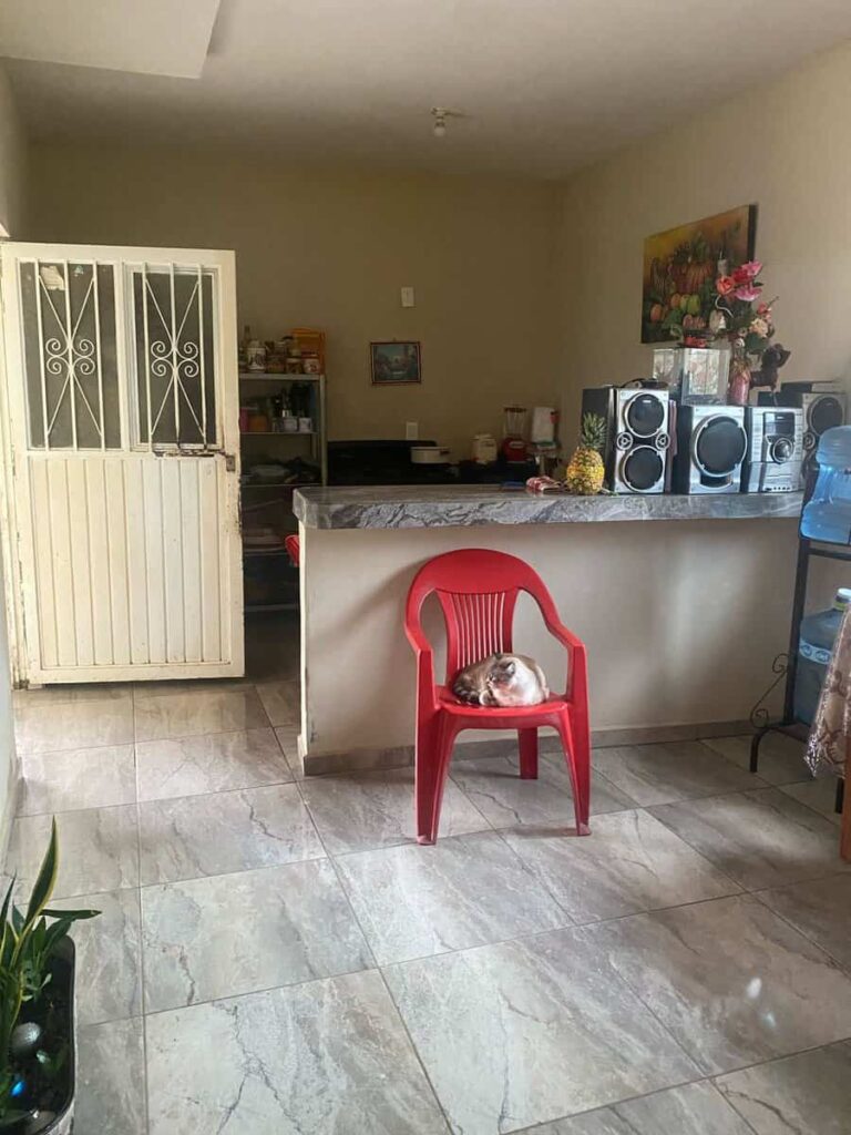 CASA COLIBRI – photo 5