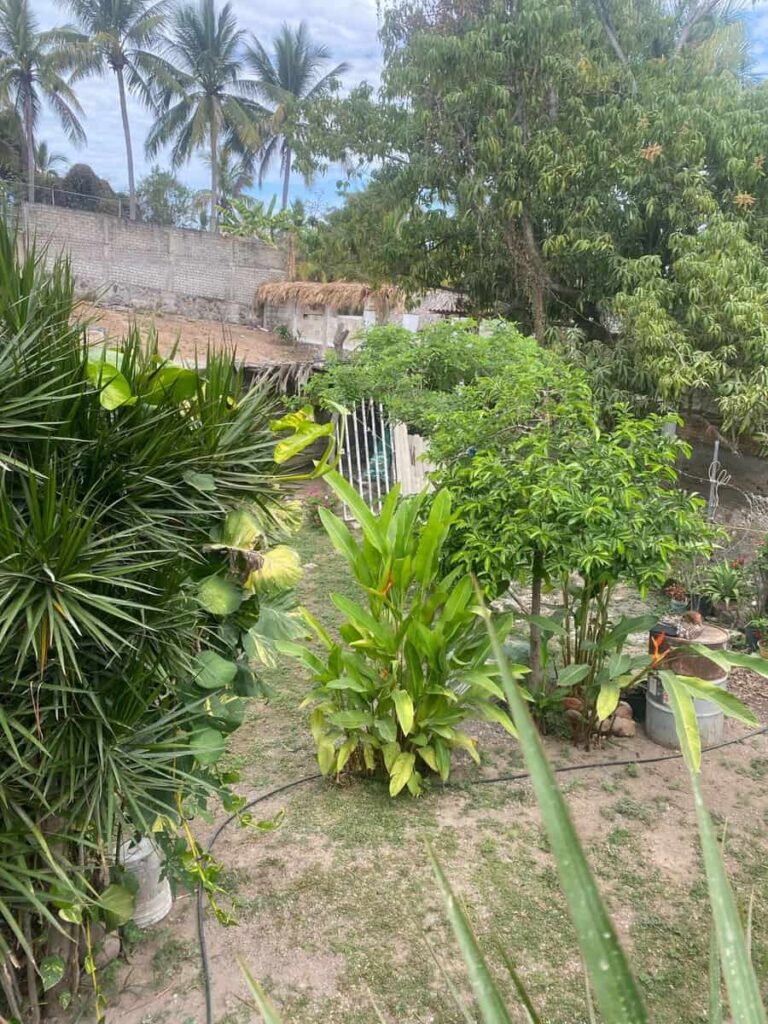 CASA COLIBRI – photo 13