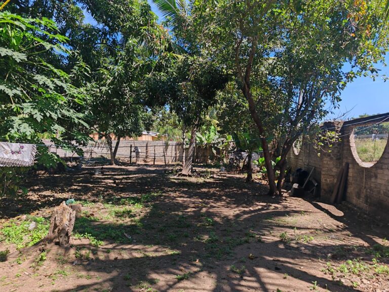 CASA LEOS – photo 2