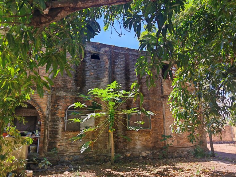CASA LEOS – photo 4