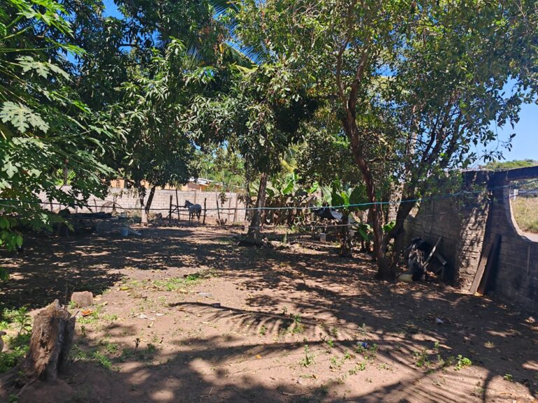 CASA LEOS – photo 6