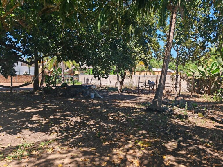 CASA LEOS – photo 7