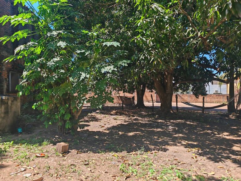 CASA LEOS – photo 8