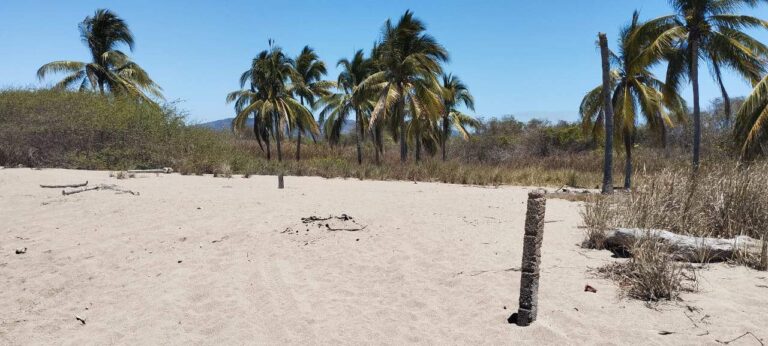 LA MANZANILLA LOT – LOT 40 – photo 8