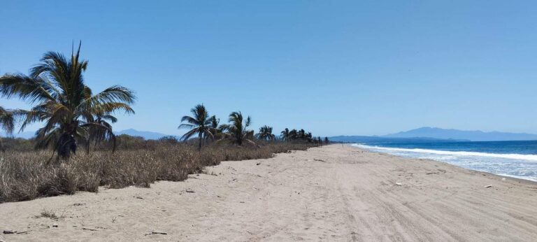 LA MANZANILLA LOT – LOT 40 – photo 2