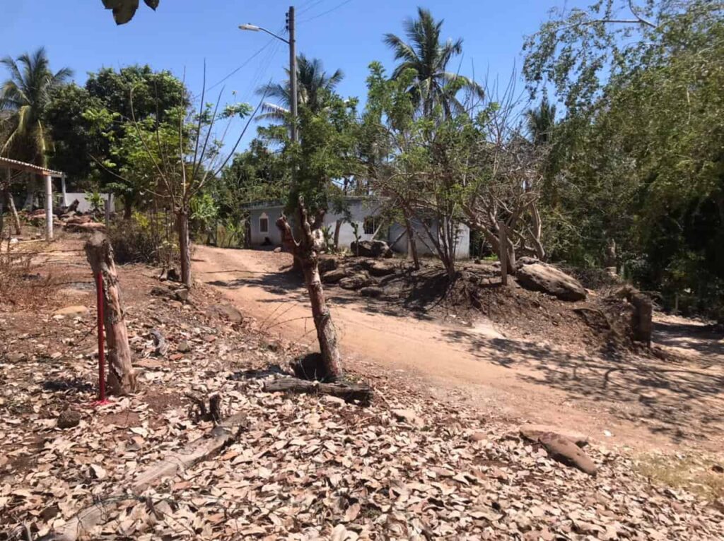LOTE ALFONSO – photo 1