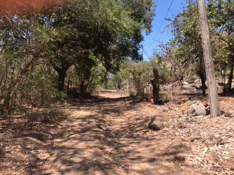 LOTE ALFONSO – photo 4