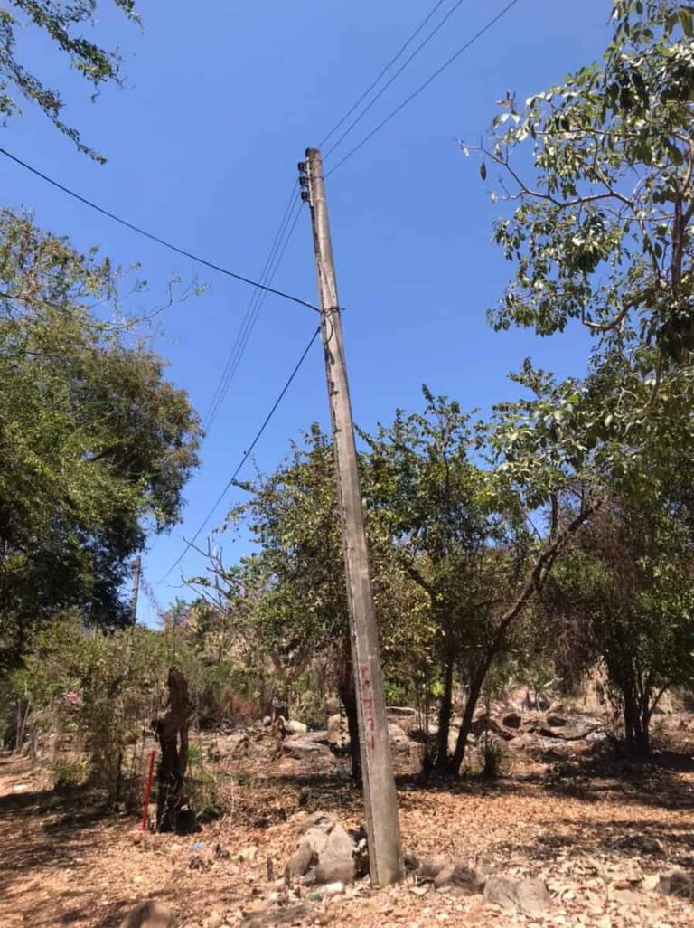 LOTE ALFONSO – photo 6