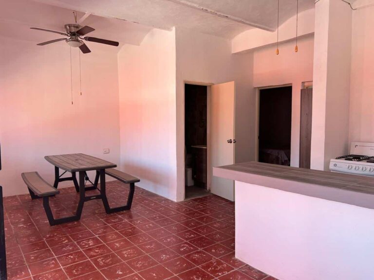CASA DE LA PAZ – photo 9