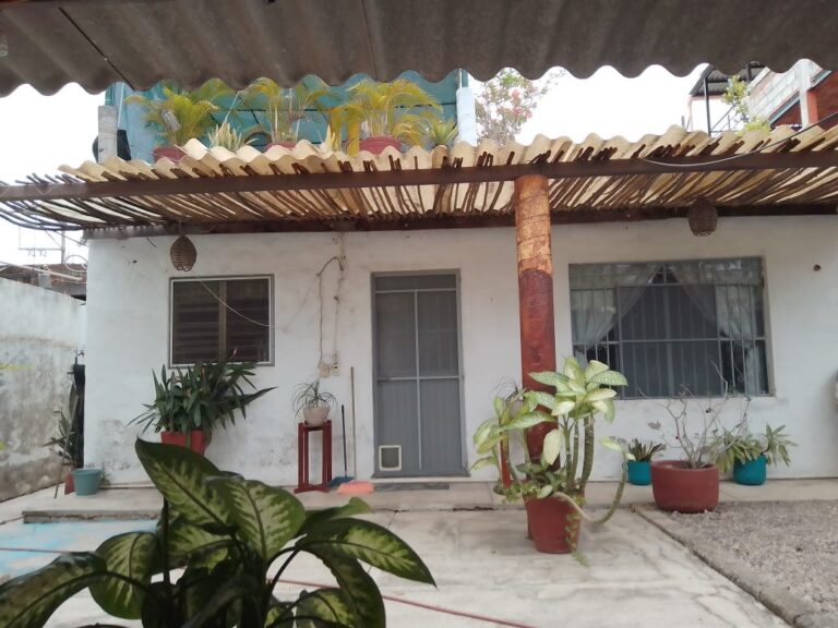 CASA AMORE – photo 8