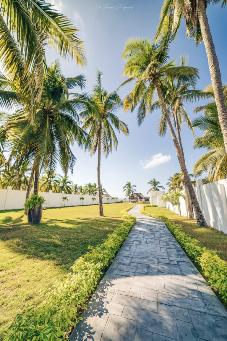 CASA BLANCA – photo 15