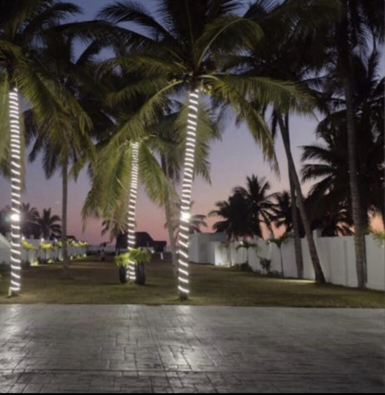 CASA BLANCA – photo 21