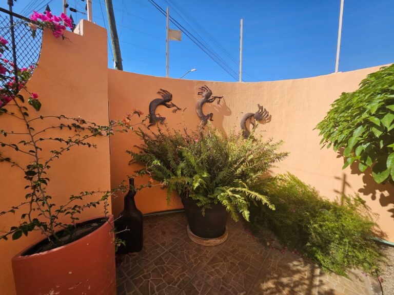 CASA DANA – photo 47