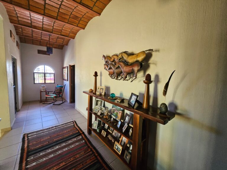 CASA DANA – photo 40