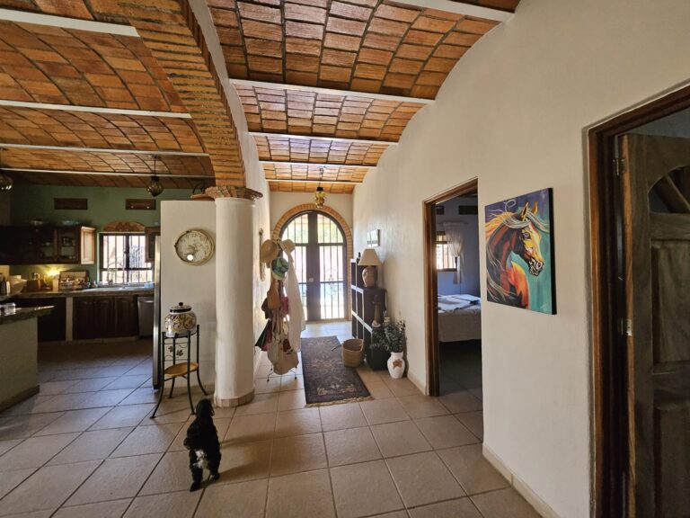 CASA DANA – photo 34