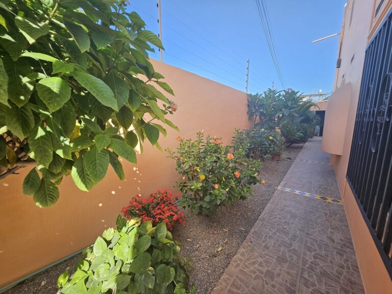 CASA DANA – photo 50