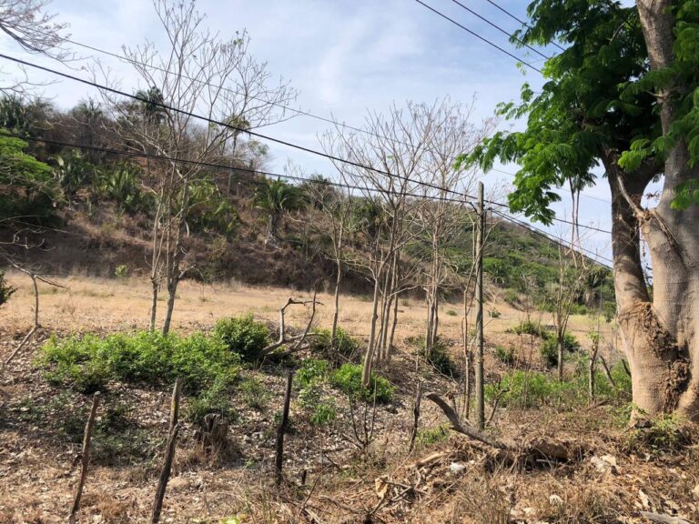 LOTE GONZALEZ – photo 2