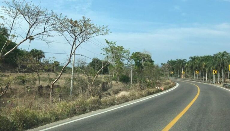 LOTE GONZALEZ – photo 4