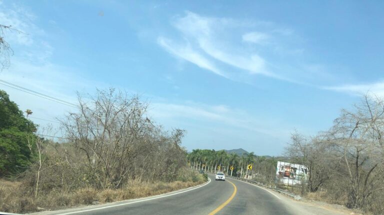 LOTE GONZALEZ – photo 3