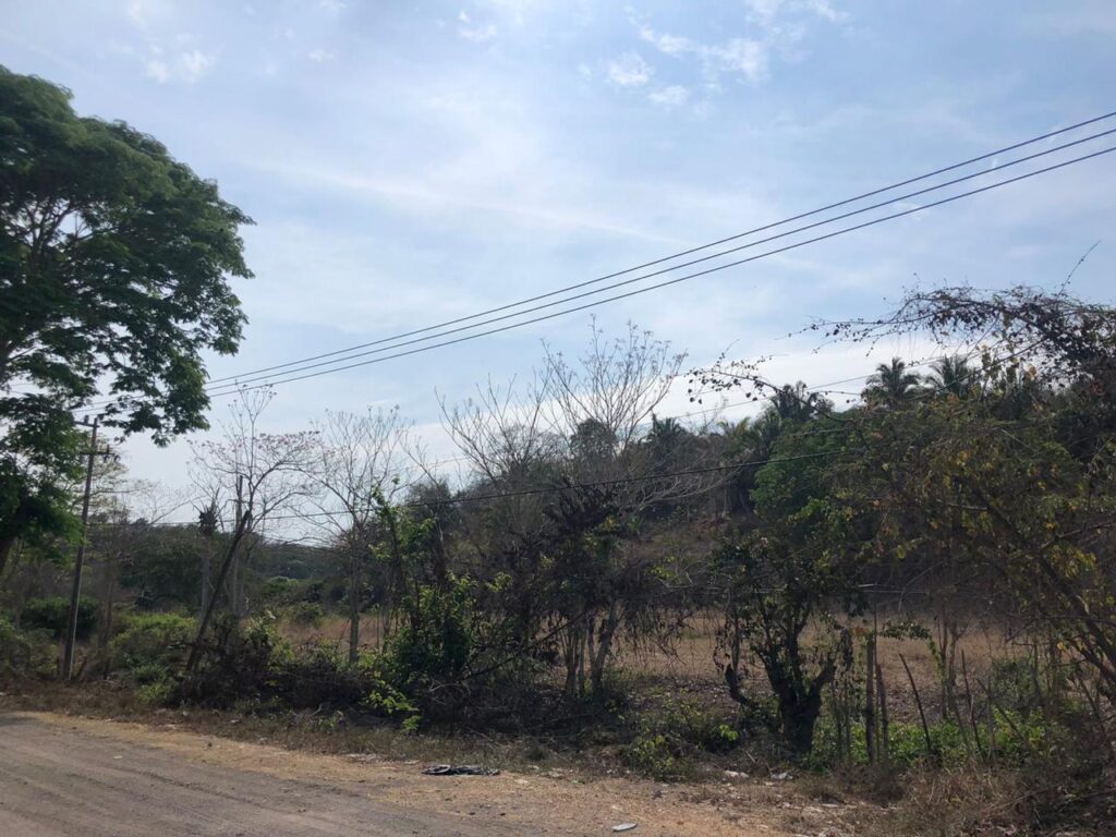 LOTE GONZALEZ – photo 1