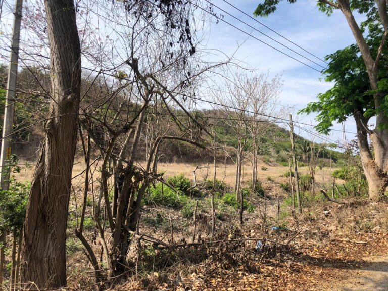 LOTE GONZALEZ – photo 6