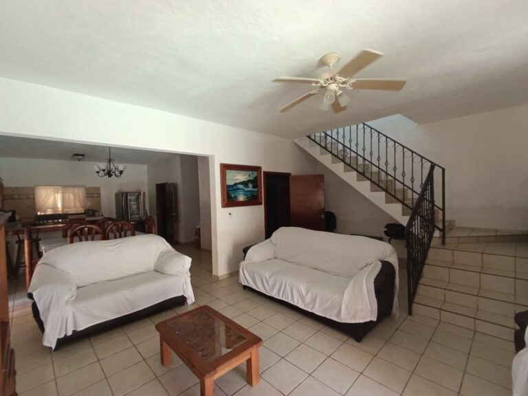 CASA DAVID – photo 16