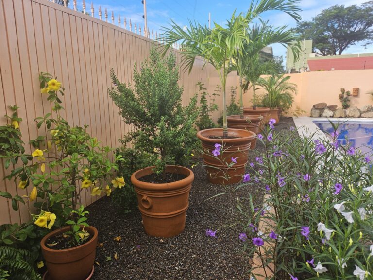 CASA DANA – photo 57