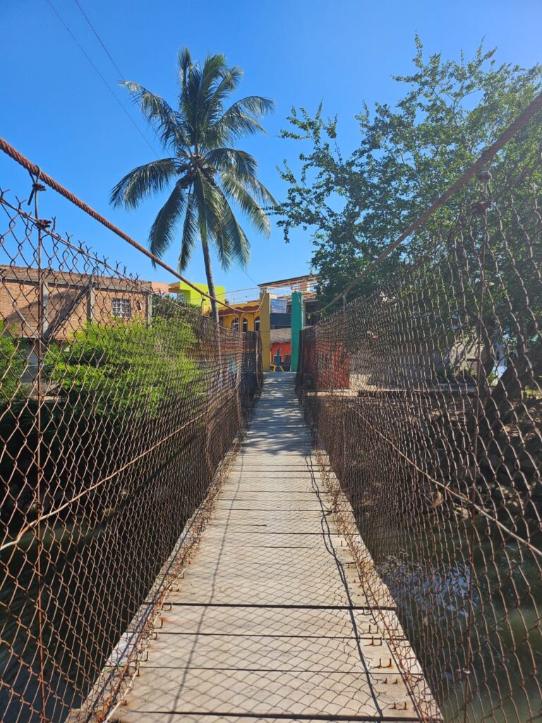 CASA DANA – photo 6