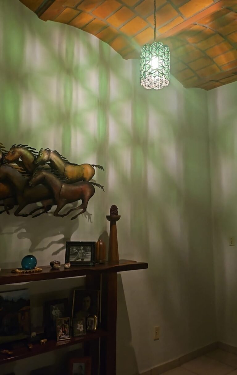 CASA DANA – photo 2