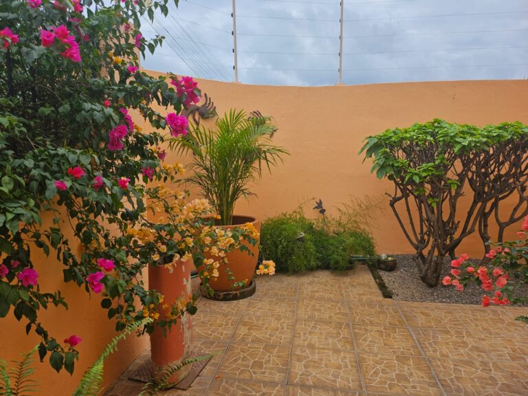 CASA DANA – photo 11