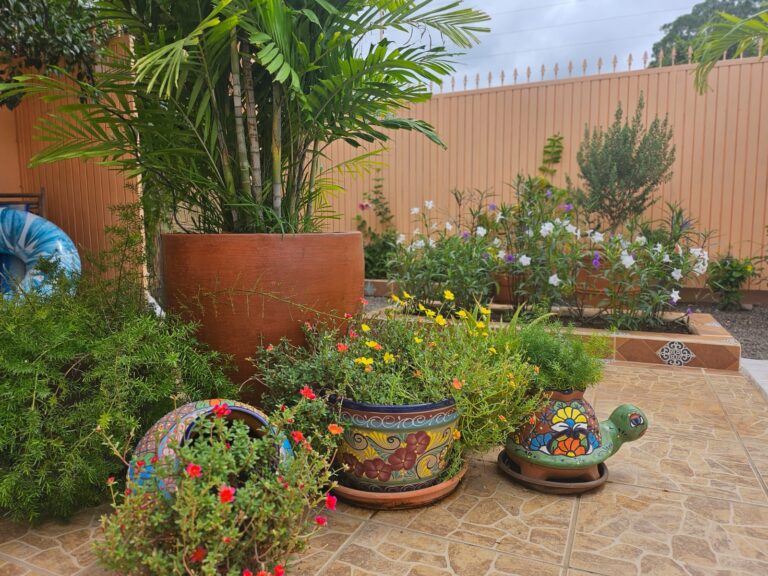 CASA DANA – photo 7
