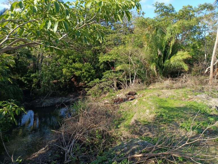 LOTE DEL RIO – photo 11