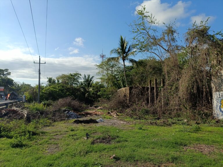 LOTE DEL RIO – photo 8