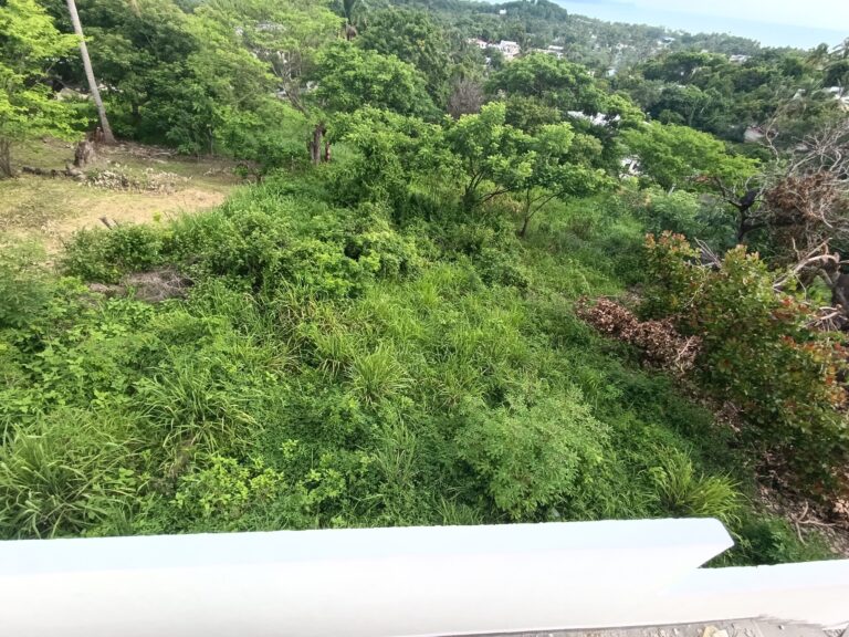 CASA GABRIEL – photo 10