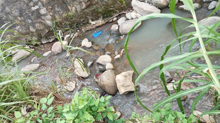 LOTE ARROYO LA PALMA – photo 8