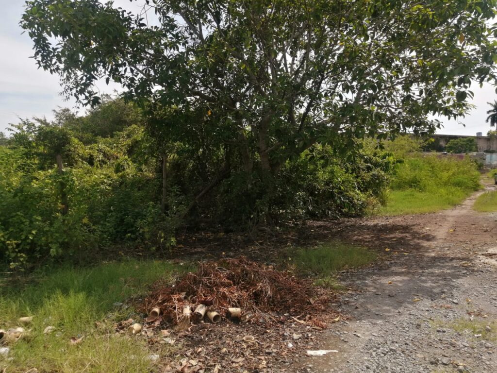LOTE ANGELES – photo 1