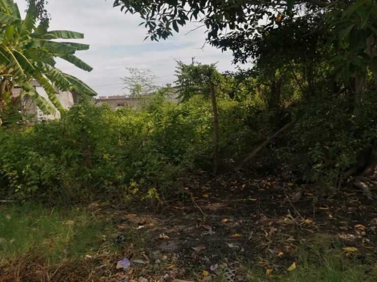 LOTE ANGELES – photo 2