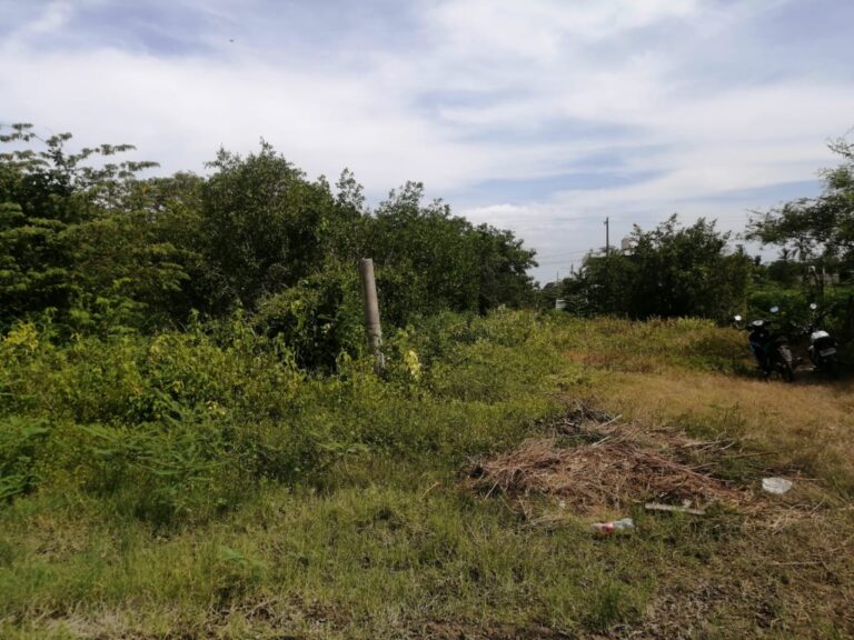 LOTE ANGELES – photo 4