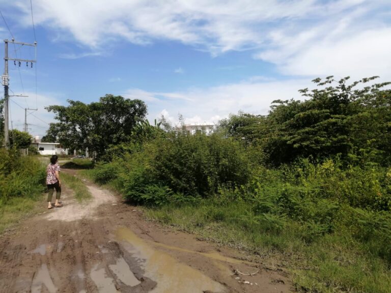 LOTE ANGELES – photo 5