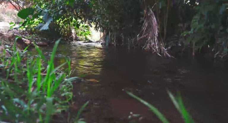 ECOTURISTICO PLAYA LA MANZANILLA – photo 9