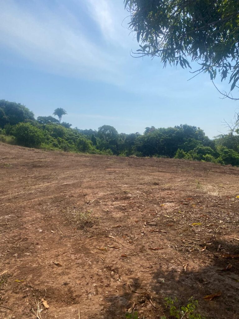 EL CERRITO – photo 3