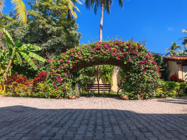 CASA DE LA IGUANA – photo 10