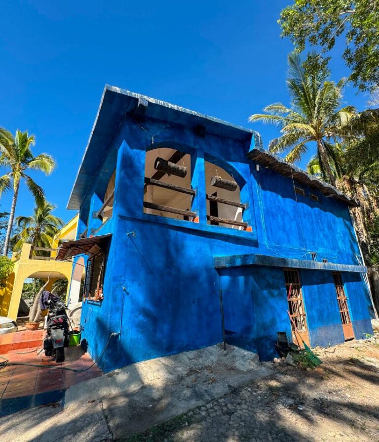 CASA AZUL – photo 4