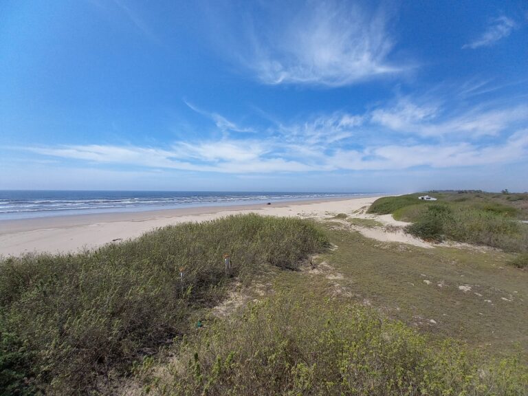 LOTE PLAYA NOVILLERO FOR SALE, NOVILLERO – photo 2
