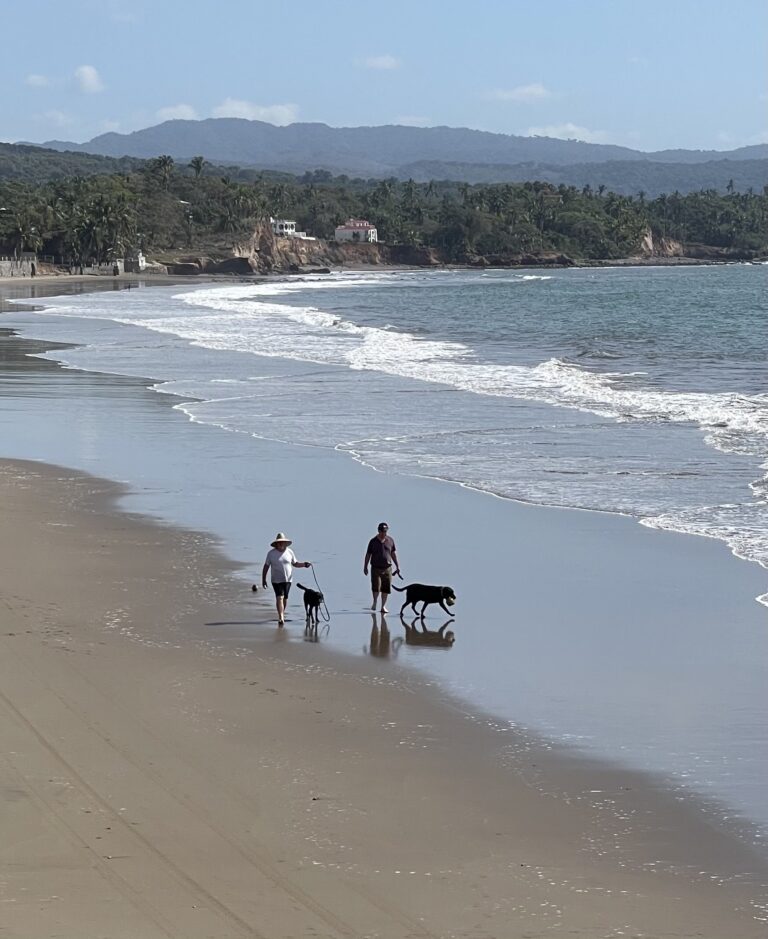 CASA LIBELULA PLAYA LOS COCOS – photo 3